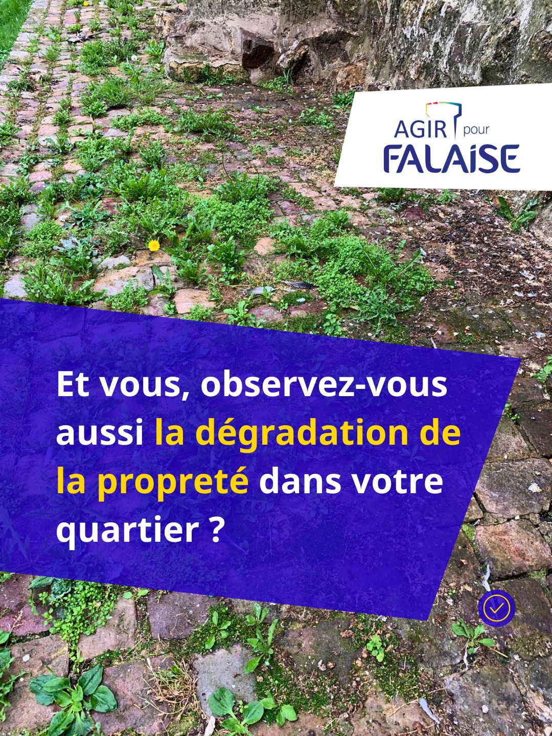 15-WhatsApp Image 2026-01-28 at 18.28.30