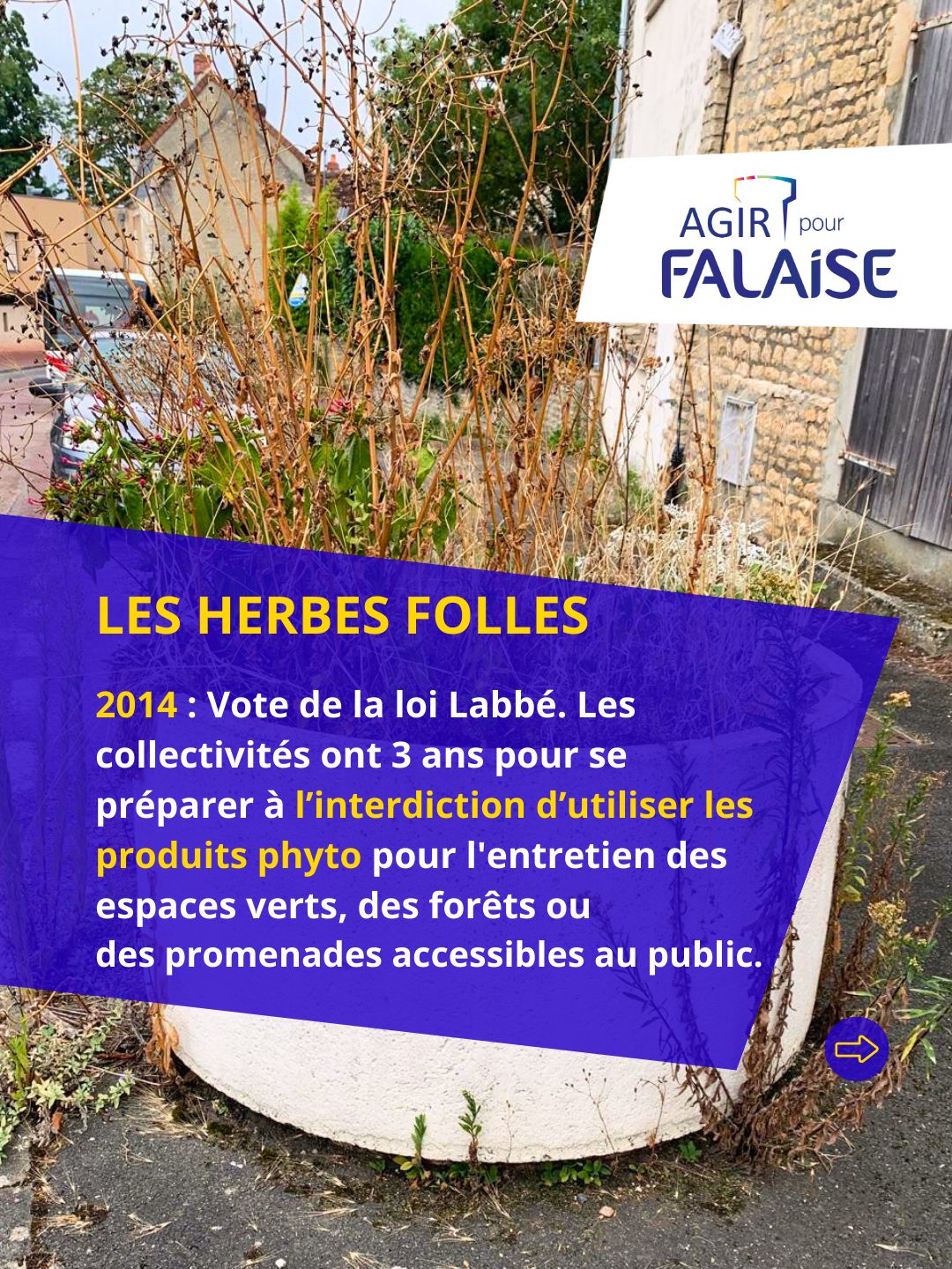 3WhatsApp Image 2026-01-28 at 18.28.26