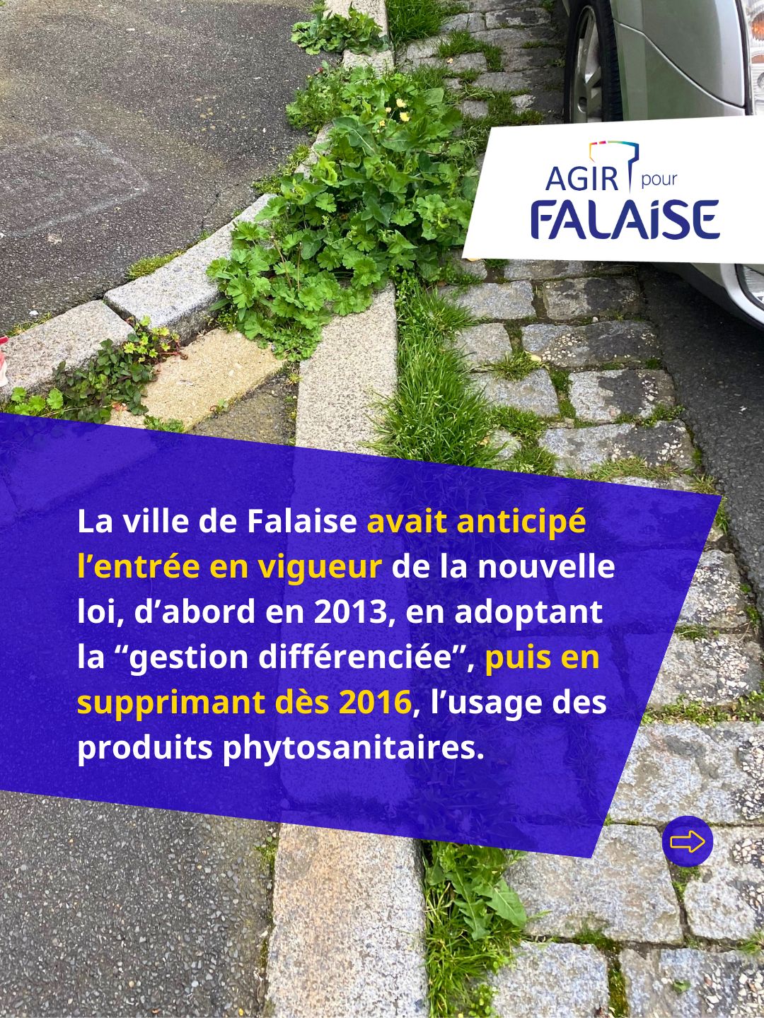 4WhatsApp Image 2026-01-28 at 18.28.27