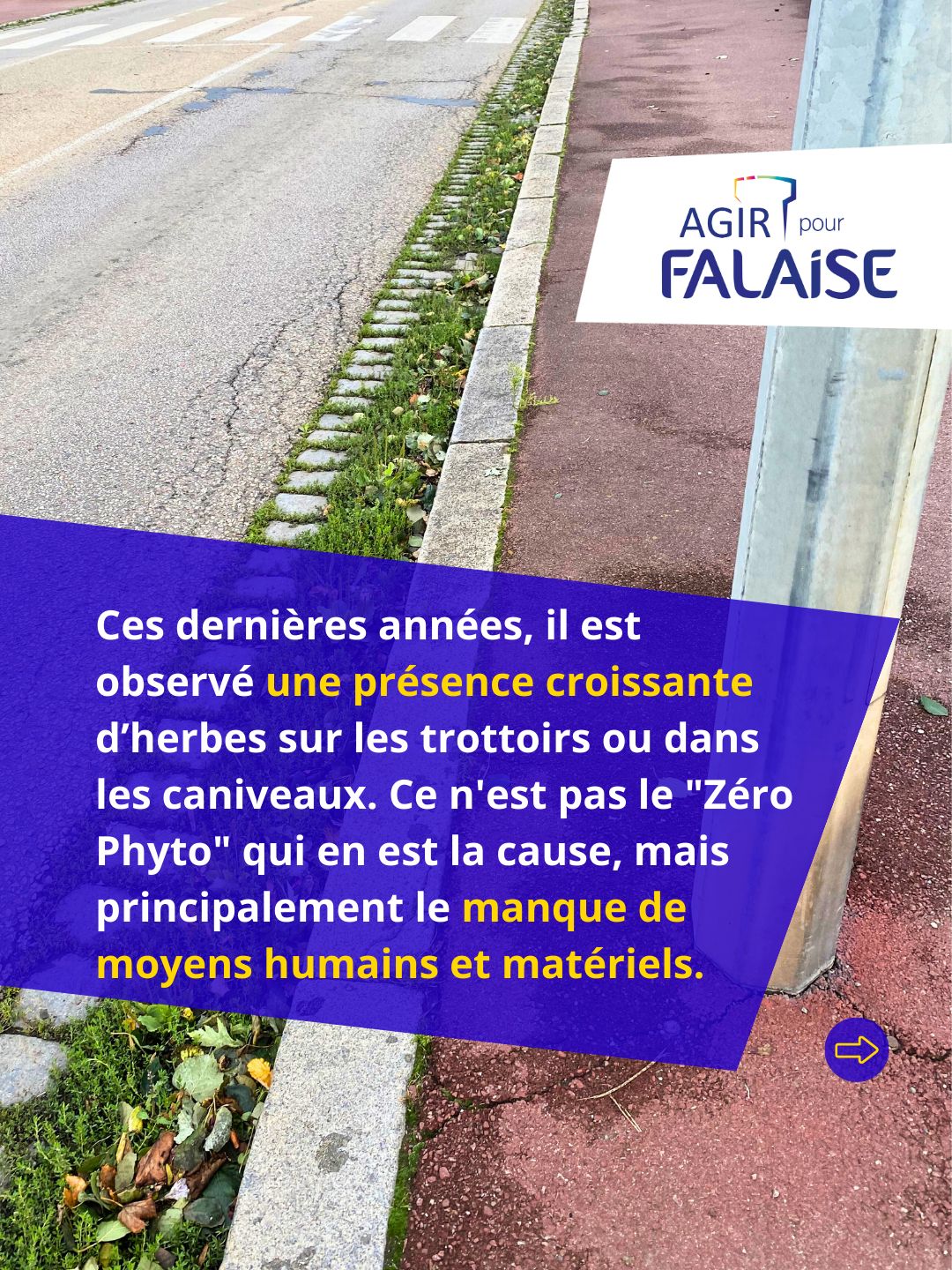 5WhatsApp Image 2026-01-28 at 18.28.27