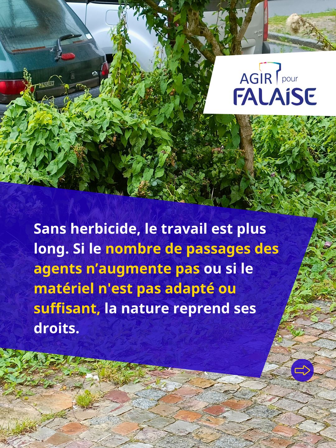 6WhatsApp Image 2026-01-28 at 18.28.27