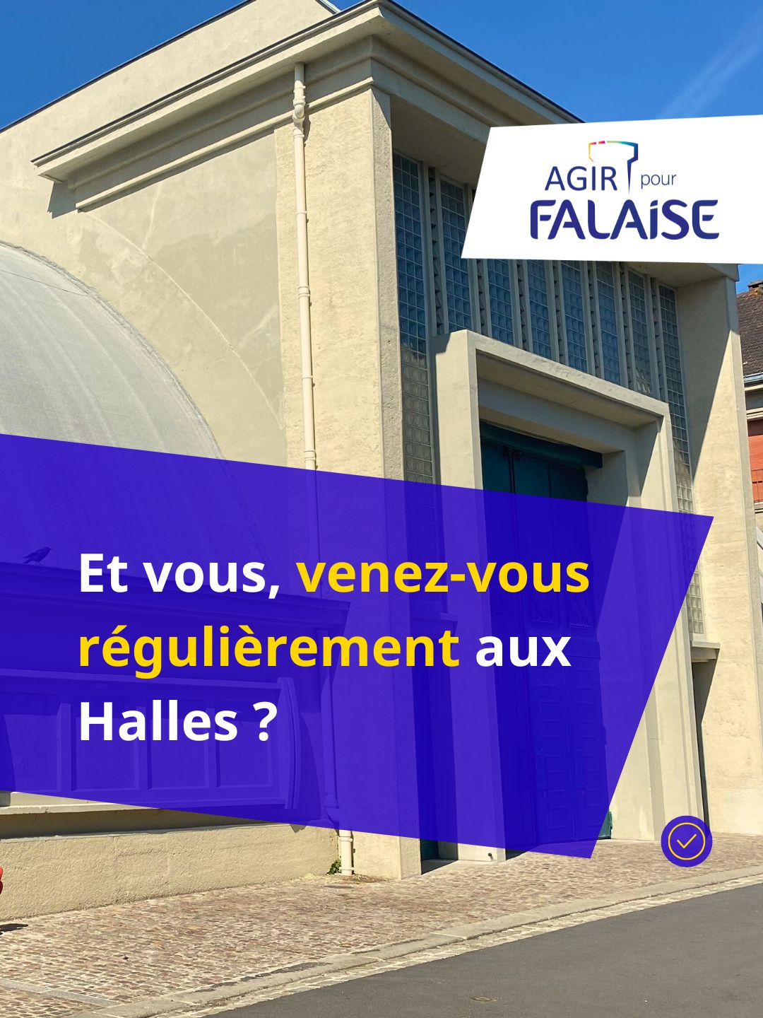 WhatsApp Image 2026-01-21 at 15.46.45-6