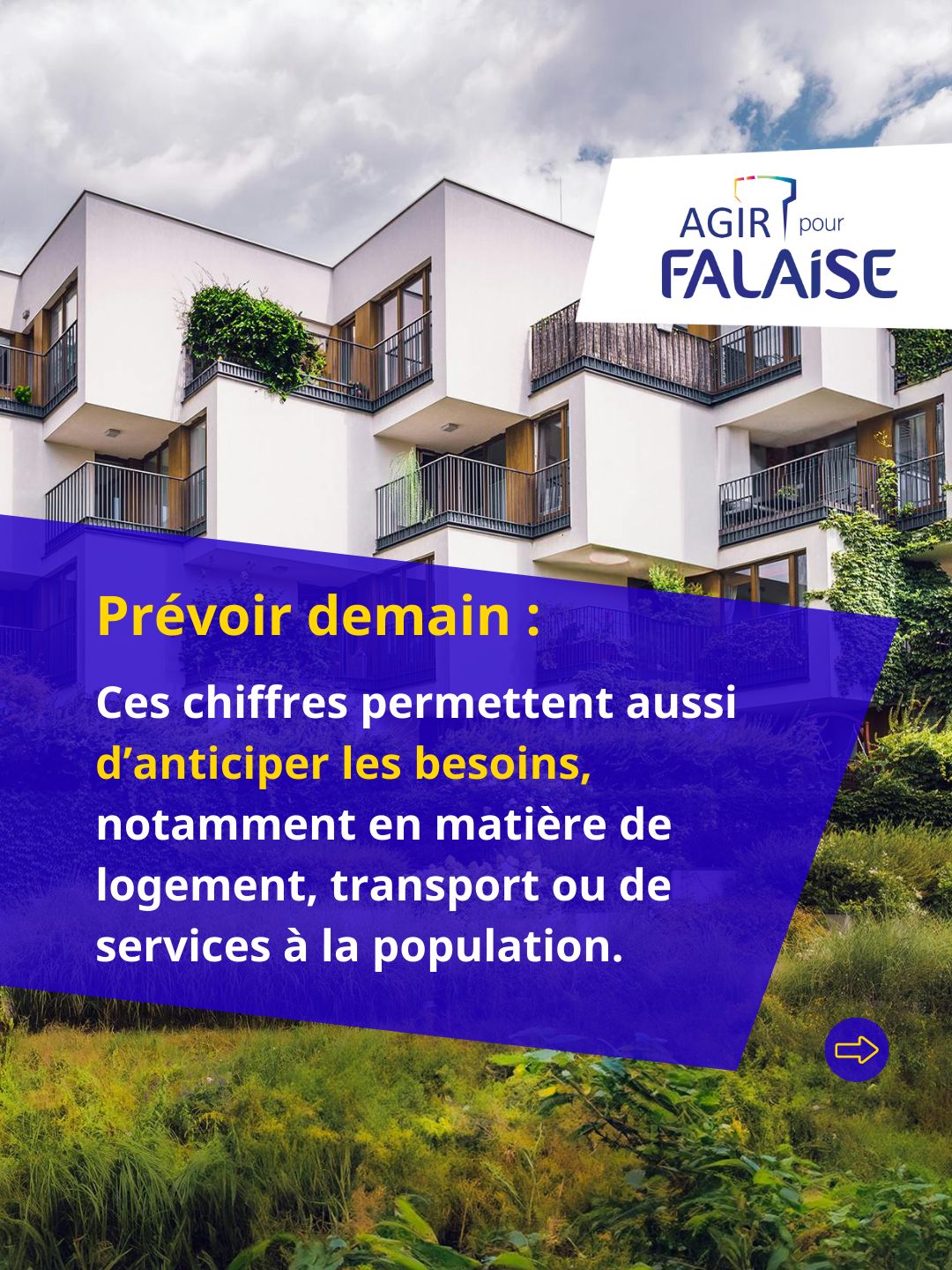 5WhatsApp Image 2026-02-12 at 10.54.21