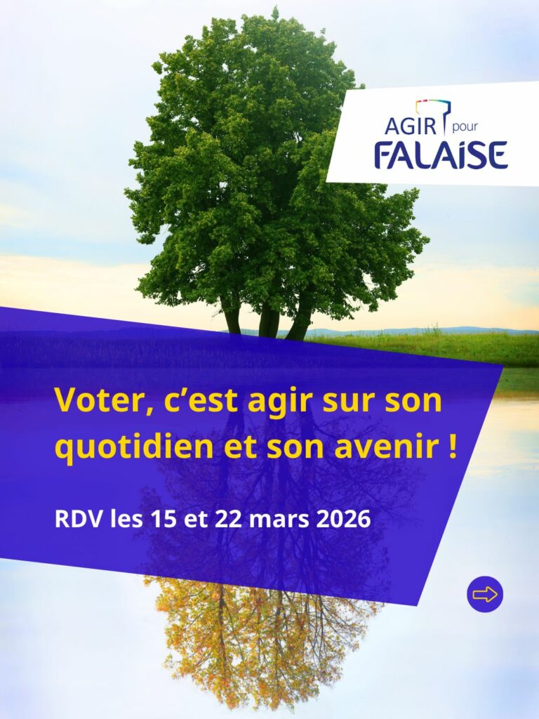 8-WhatsApp Image 2026-01-30 at 11.36.01